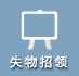 ʧ������